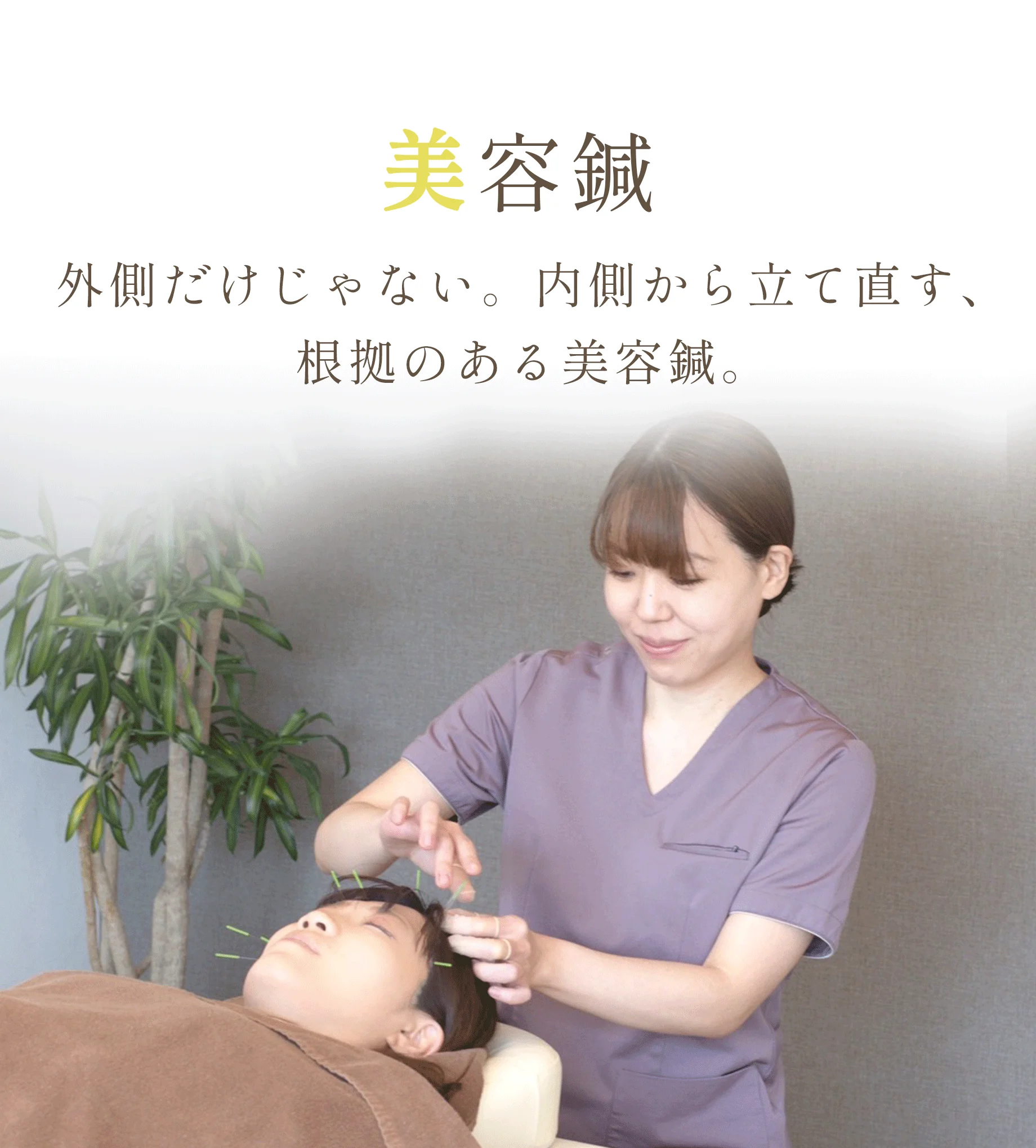 美容鍼