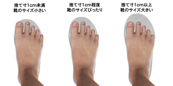 捨て寸大小