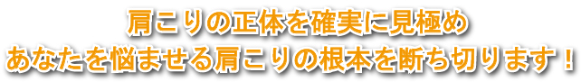 肩こりの正体を確実に見極めあなたを悩ませる肩こりの根本を断ち切ります