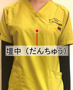 壇中