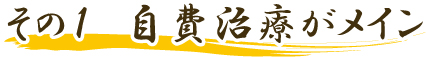 自費治療がメイン