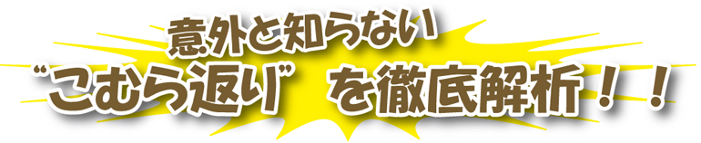 意外と知らないこむら返りを徹底解析！