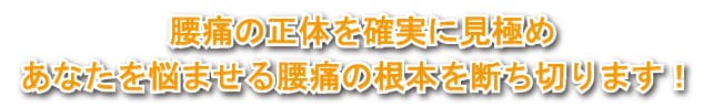 腰痛の正体を確実に見極めあなたを悩ませる腰痛の根本を断ち切ります