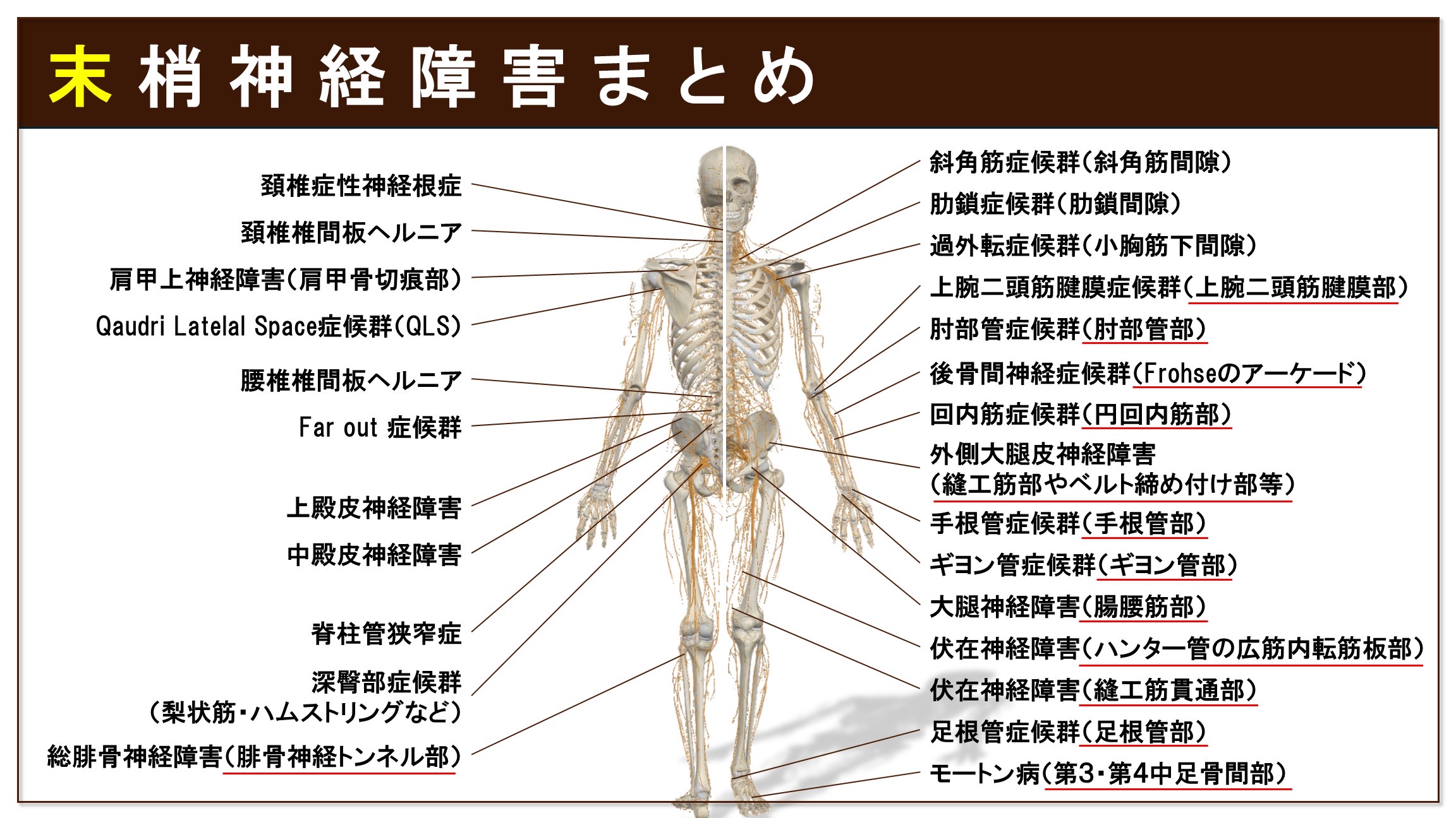 全身の末梢神経障害まとめ