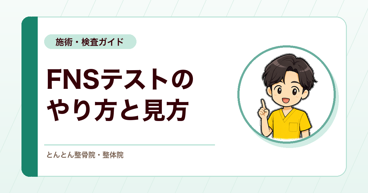 FNSテスト（大腿神経伸展テスト）とは？太もも前側の痛み・しびれを見る検査の基本