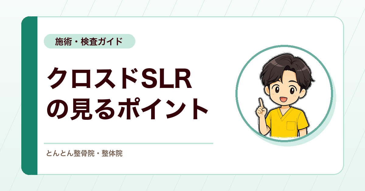 クロスドSLRテストとは？腰痛・足のしびれ評価で見るポイント