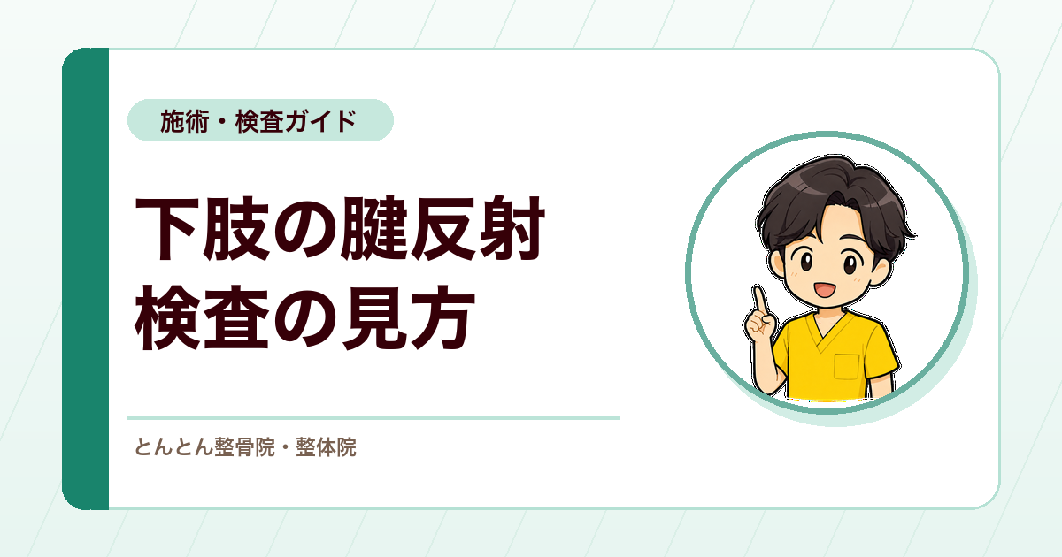 下肢の腱反射検査とは？膝蓋腱反射・アキレス腱反射の見方
