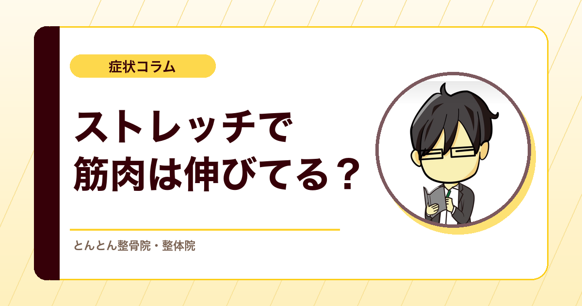 ストレッチで筋肉は本当に伸びるのか？可動域改善を過大評価しない考え方