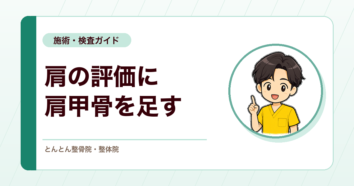 肩の痛みを見るなら、肩甲骨の動きも外せない