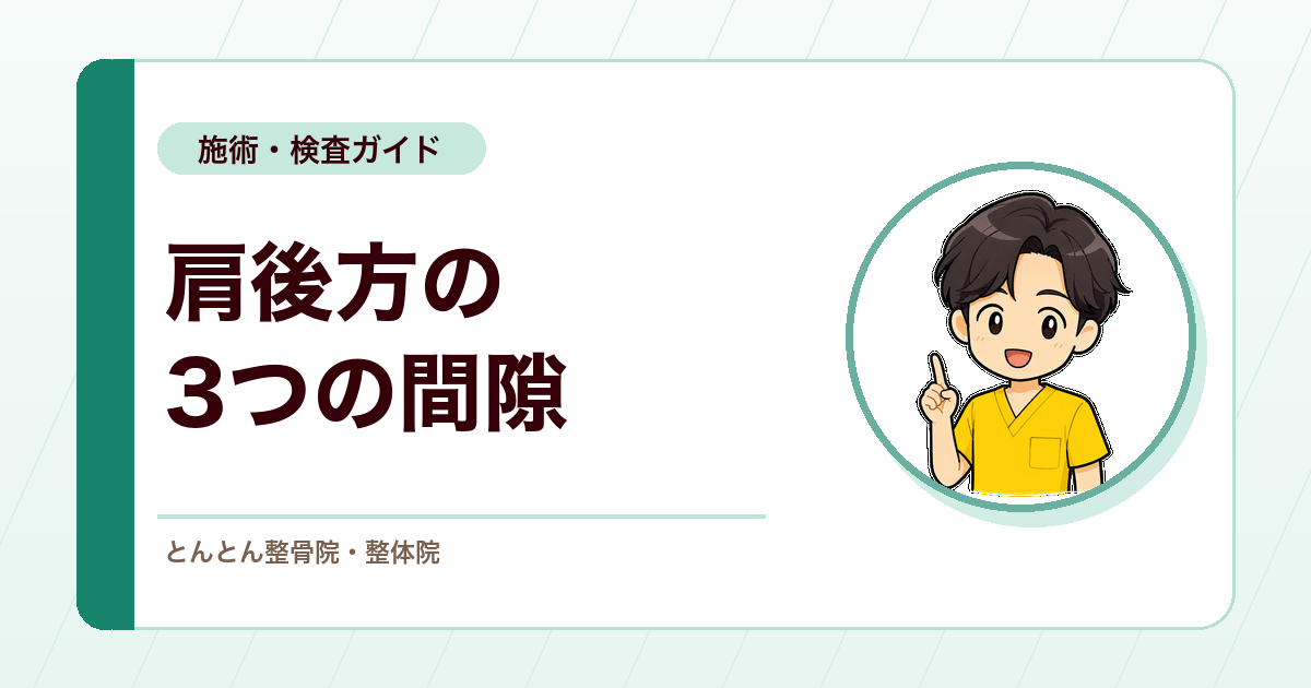 肩後方の痛みで知っておきたい3つの間隙。間隙はクワドリラテラルスペースだけではない