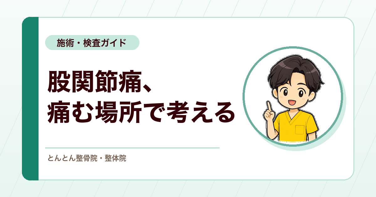 股関節痛の評価ガイド。鼠径部・臀部・外側部の所見と鑑別の進め方。