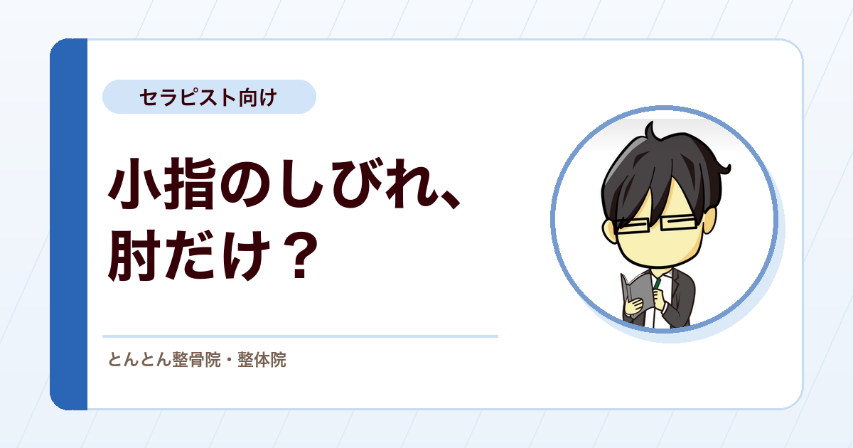 小指側のしびれは肘だけで決めない 肘部管症候群の評価で見るべきこと