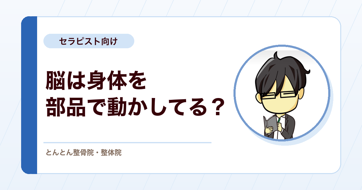 運動ホムンクルスは書き換わる。脳は身体を部品ごとに動かしているだけではない