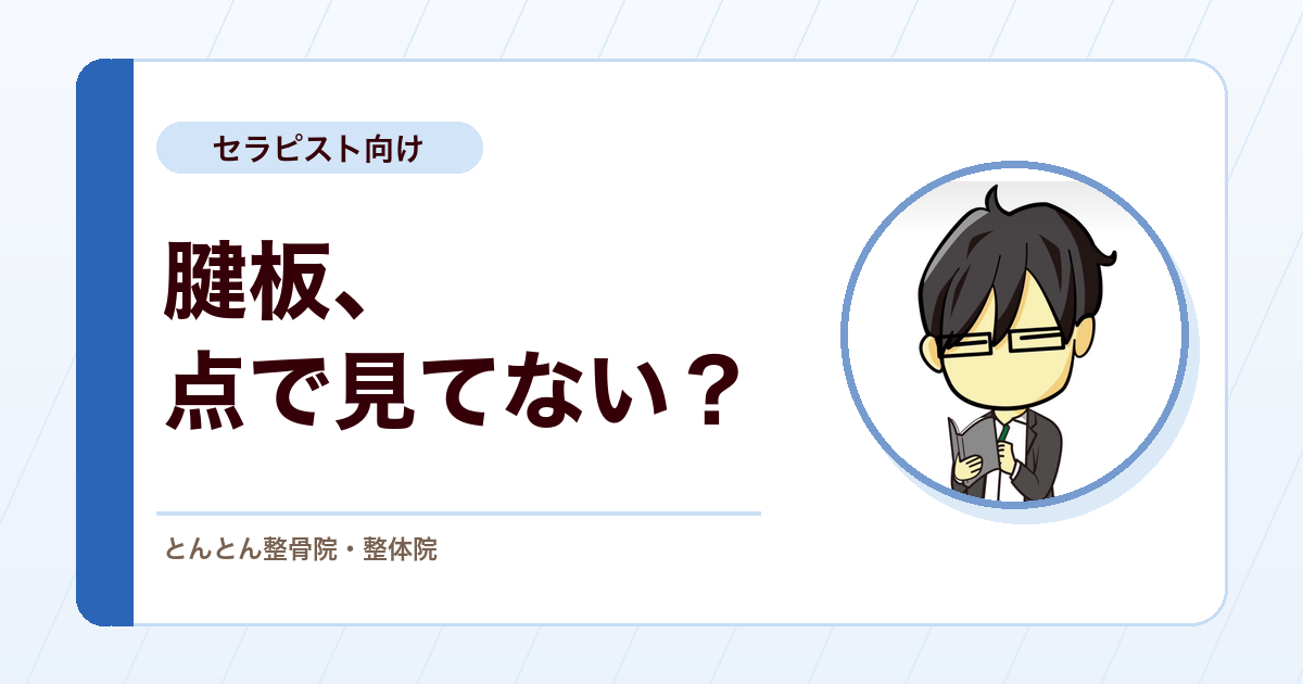 棘上筋と棘下筋の停止部はどこまで広がる？腱板を面で見るために