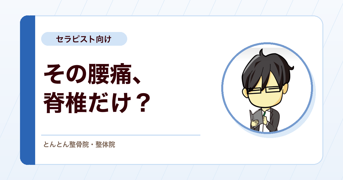 腰痛の原因は脊椎だけではない。上殿皮神経障害という見落としやすい視点