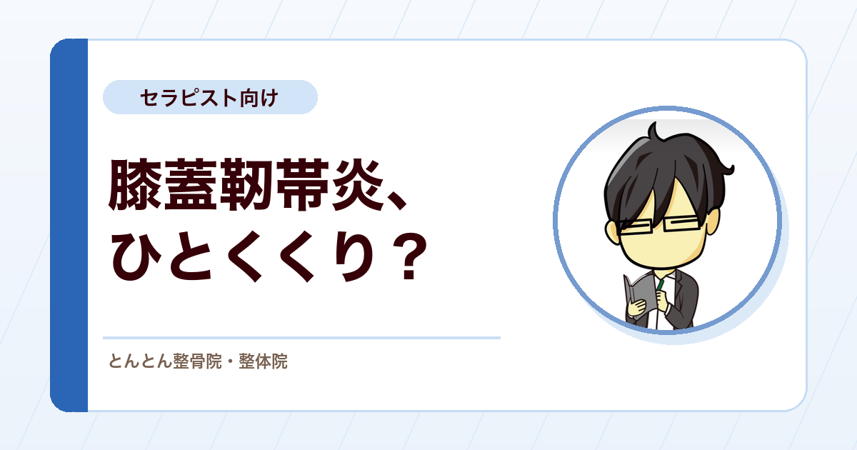 膝蓋靭帯炎は一括りにしない。ブラジナ分類と痛む場所の見方