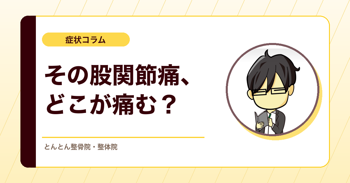 股関節痛は痛む場所で仮説が変わる。鼠径部・殿部・外側部の考え方。