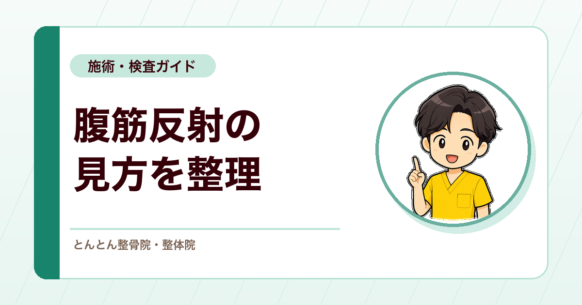 腹筋反射とは？叩打部位と腹壁反射との見方を整理する