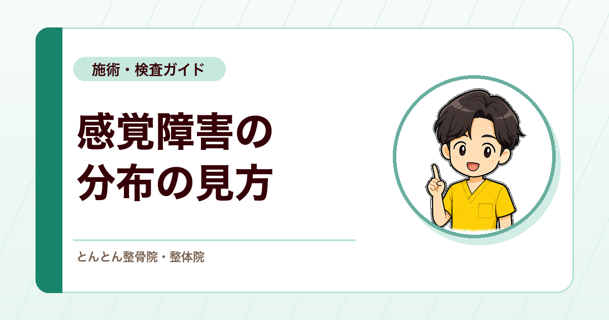 感覚障害の分布図はどう見る？全部に症状が出るとは限らない