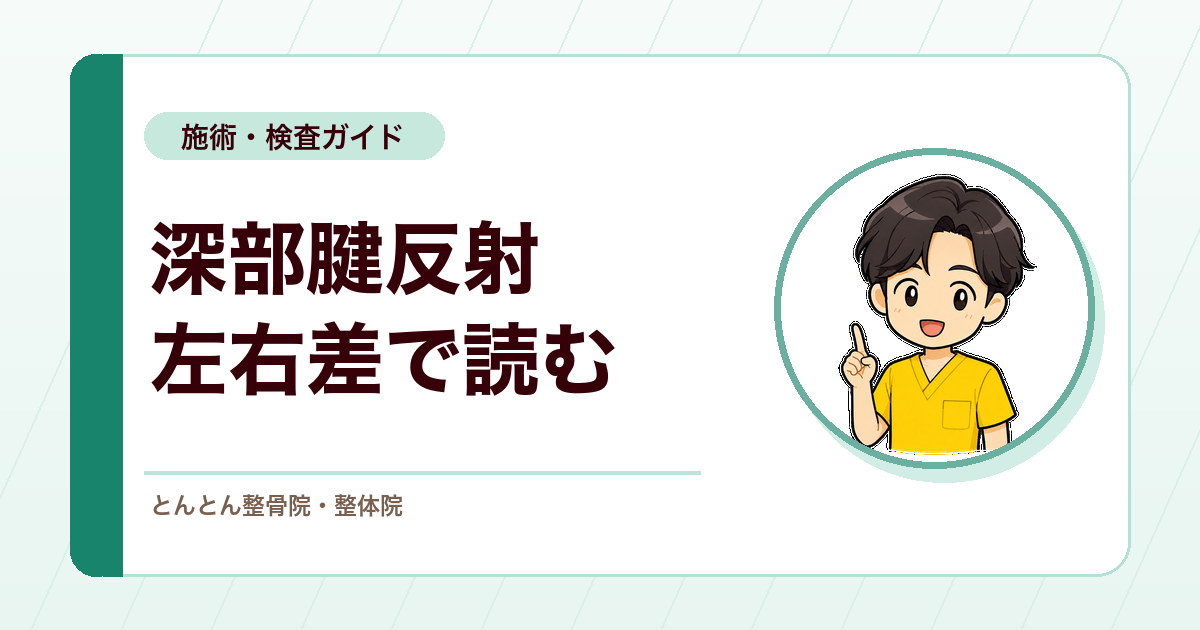 深部腱反射とは？亢進・減弱を左右差や病的反射と合わせて読む