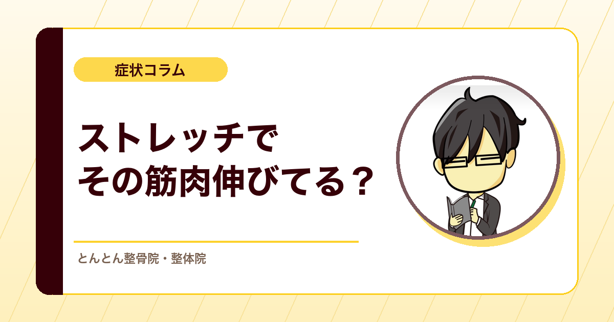 ストレッチで全部の筋肉を伸ばせるわけではない。伸長感が出にくい筋をどう考えるか