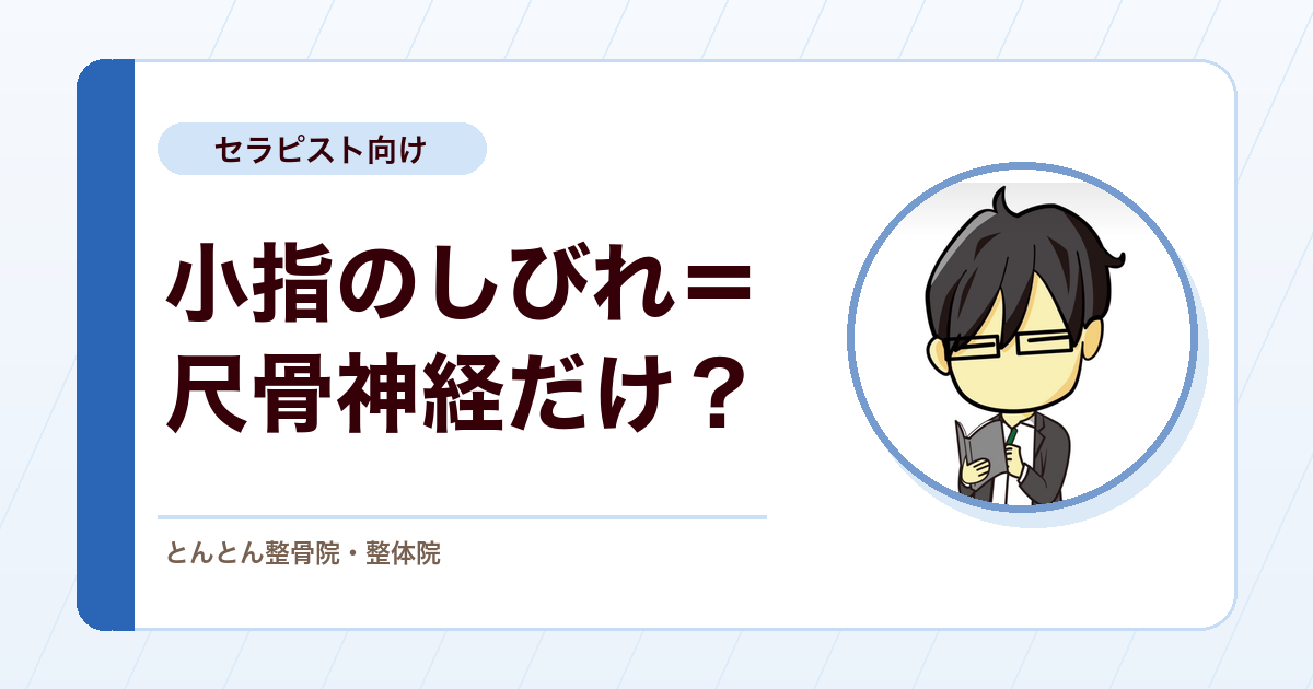 小指側のしびれは尺骨神経だけで決めない。脳梗塞を見落とさない確認ポイント