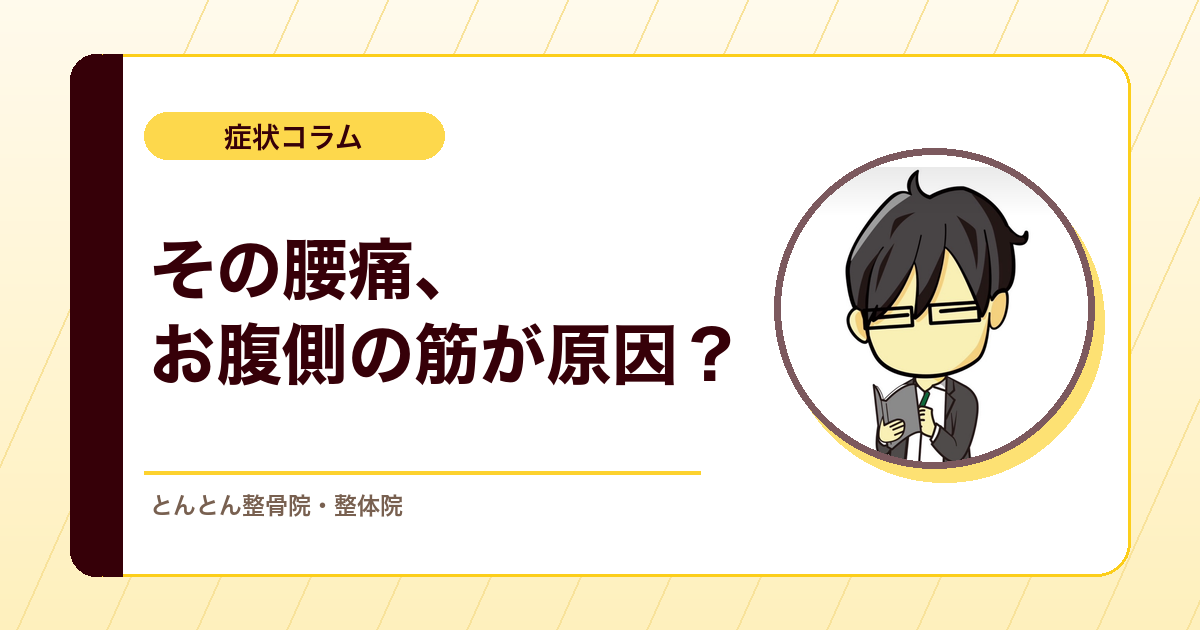 腸腰筋のもう一つの顔。腰痛に関わる前方剪断力の話