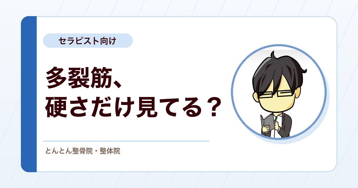 多裂筋は硬さより働き方。腰痛で変わる反応・持続力・タイミング
