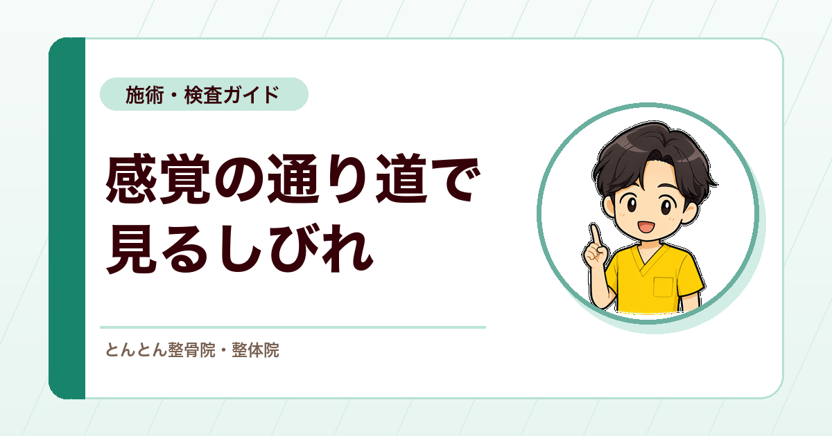 触覚、痛覚、温冷覚。しびれは感覚の通り道で見方が変わる