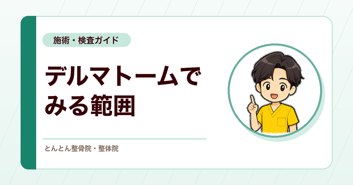 しびれの範囲はどこまで？デルマトームと末梢神経分布の見方
