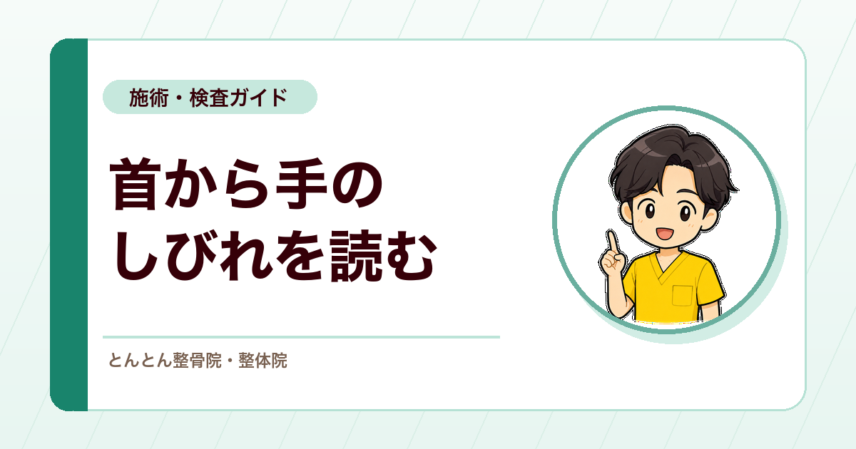 首から腕・手に広がるしびれ。頚椎神経根症と危険サインの整理