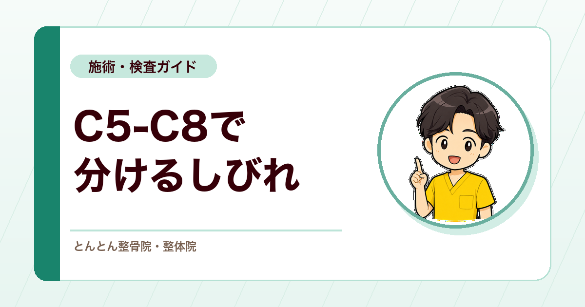 C5-C8で読み解く首から手のしびれ。頚椎神経根症の評価手順