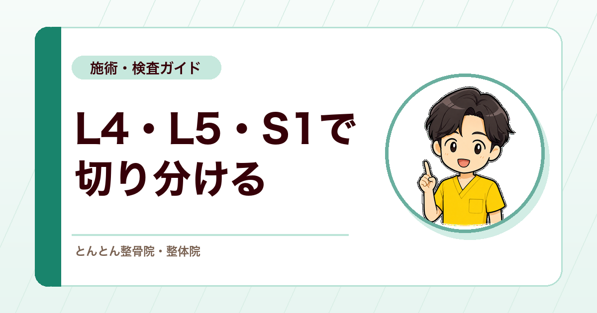 腰から足へ広がるしびれ。L4・L5・S1で切り分ける神経根評価