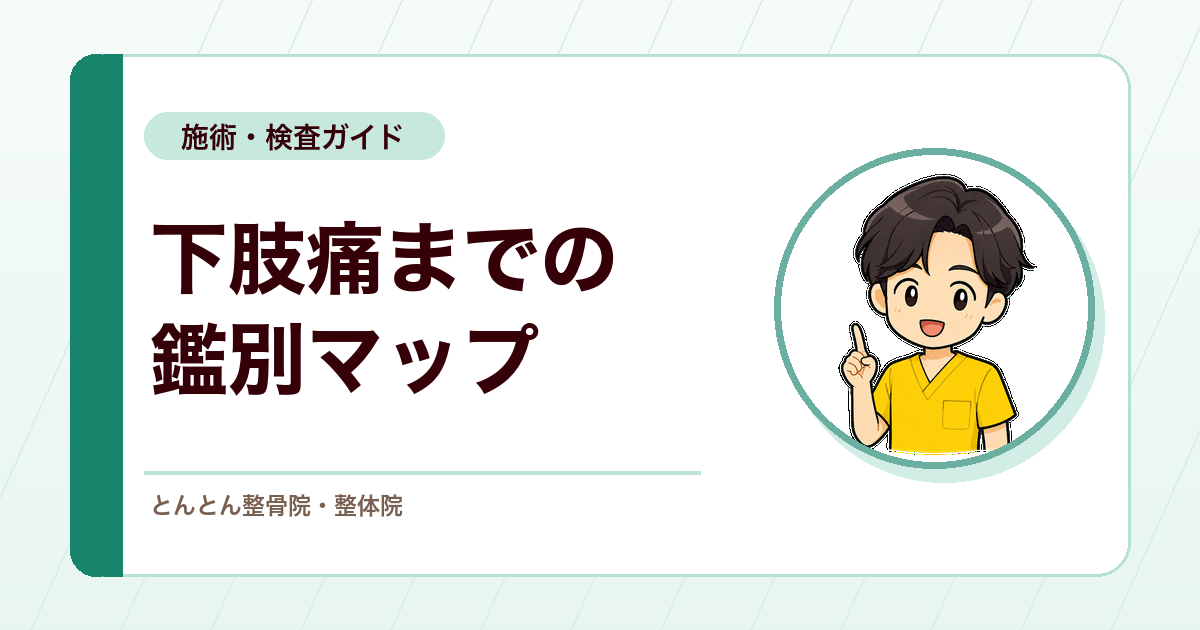 腰痛か神経か内臓か。下肢痛まで含めた鑑別マップ