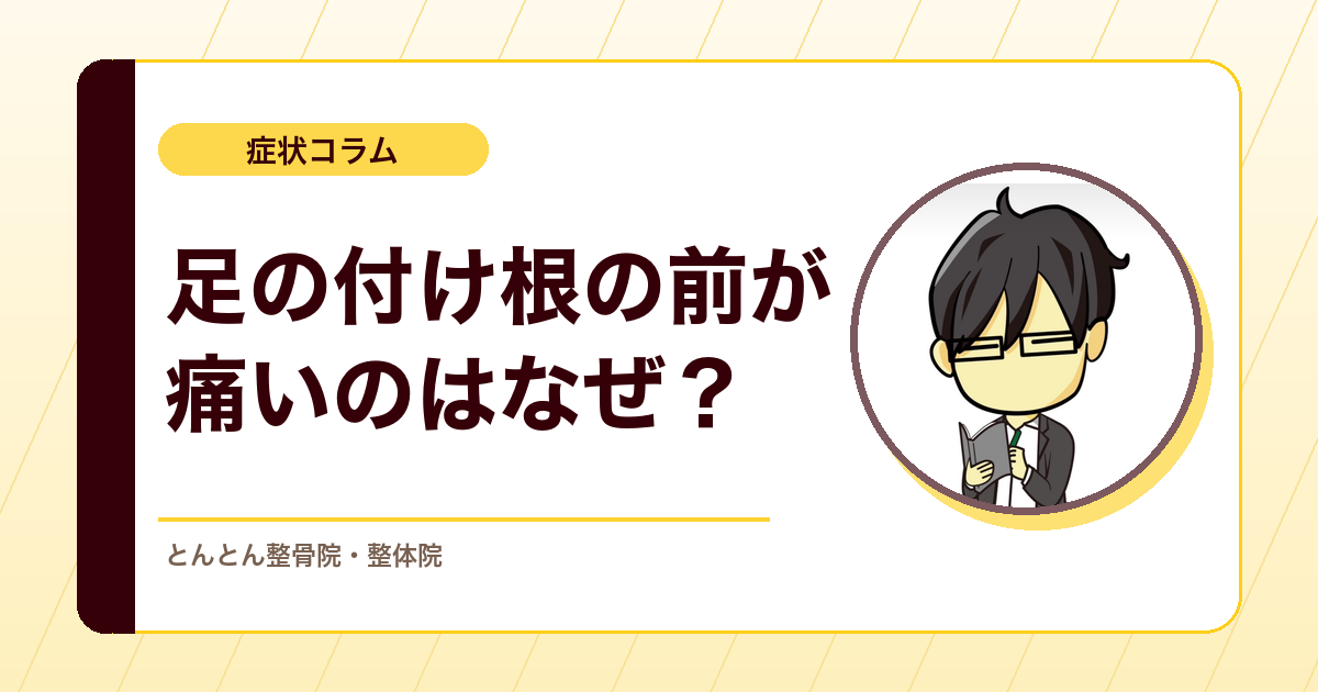 足の付け根の前が痛いのはなぜ？股関節の前側の痛みと大腿直筋の考え方