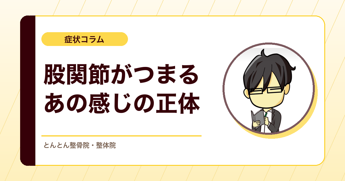 股関節を深く曲げると前がつまるのはなぜ？挟み込みと関節の動きの考え方