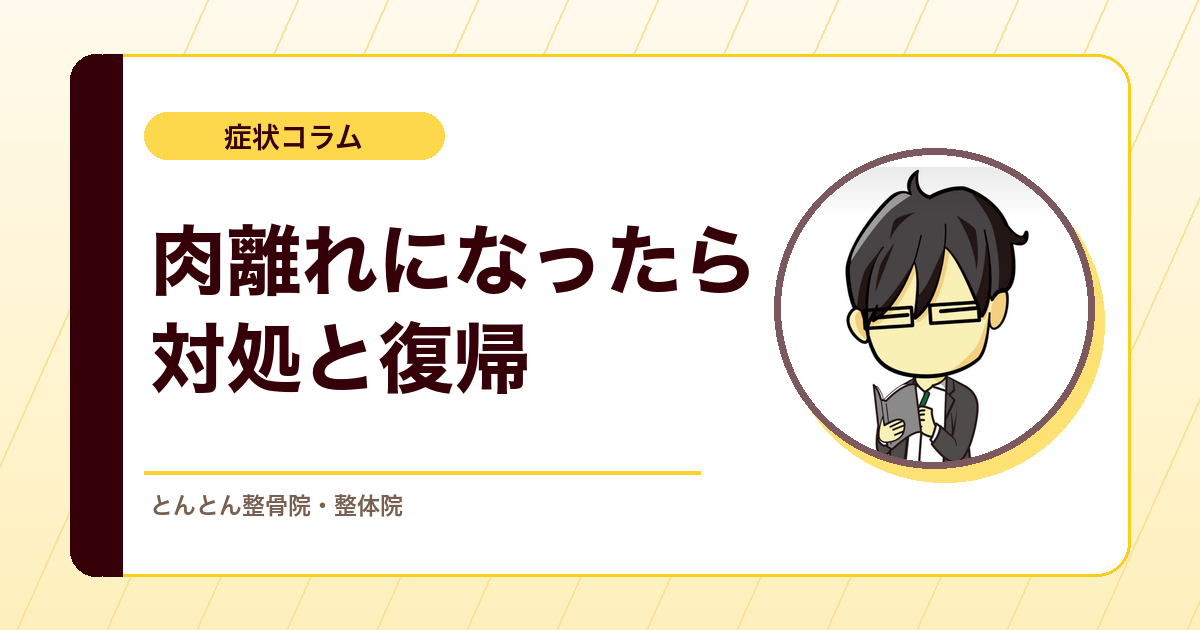 肉離れになったらどうする？やってはいけないことと復帰の考え方
