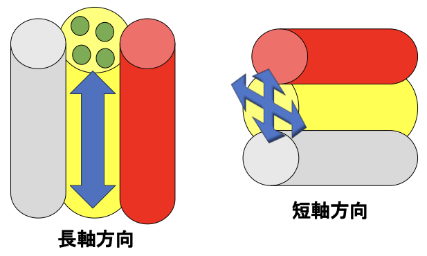 神経周囲へのアプローチ