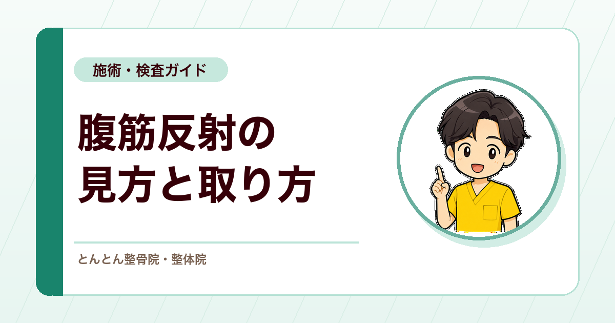 腹筋反射とは？叩打部位と腹壁反射との見方