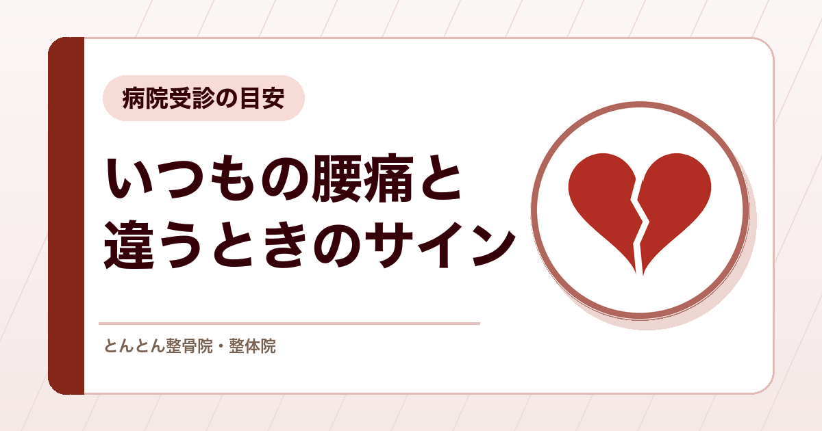 その腰や背中の痛み、がんと関係ある？転移性脊椎腫瘍のサインと病院受診の目安