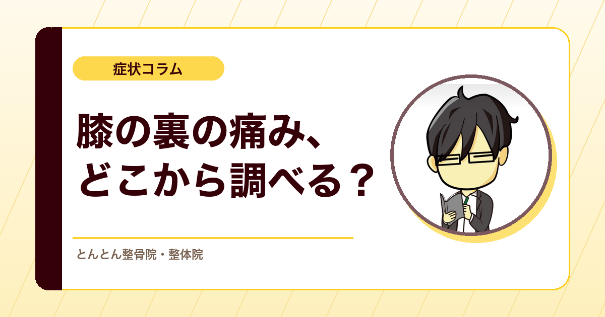膝の後ろが痛い時に見るもの。膝窩部痛で考えたい後方組織