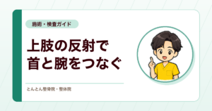 上肢の腱反射検査とは？上腕二頭筋・腕橈骨筋・上腕三頭筋反射の見方