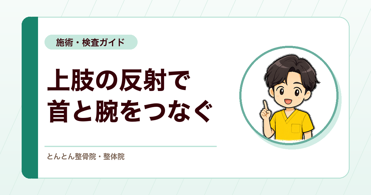 上肢の腱反射検査とは？上腕二頭筋・腕橈骨筋・上腕三頭筋反射の見方