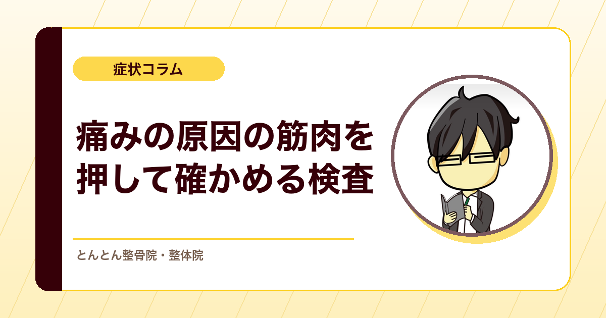 なぜその筋肉を押すの？とんとん独自の検査「ANO（アノ）テスト」をやさしく解説