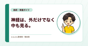 神経モビライゼーションは何を根拠に効くのか。神経内の血流と、すべらせる・張力の研究