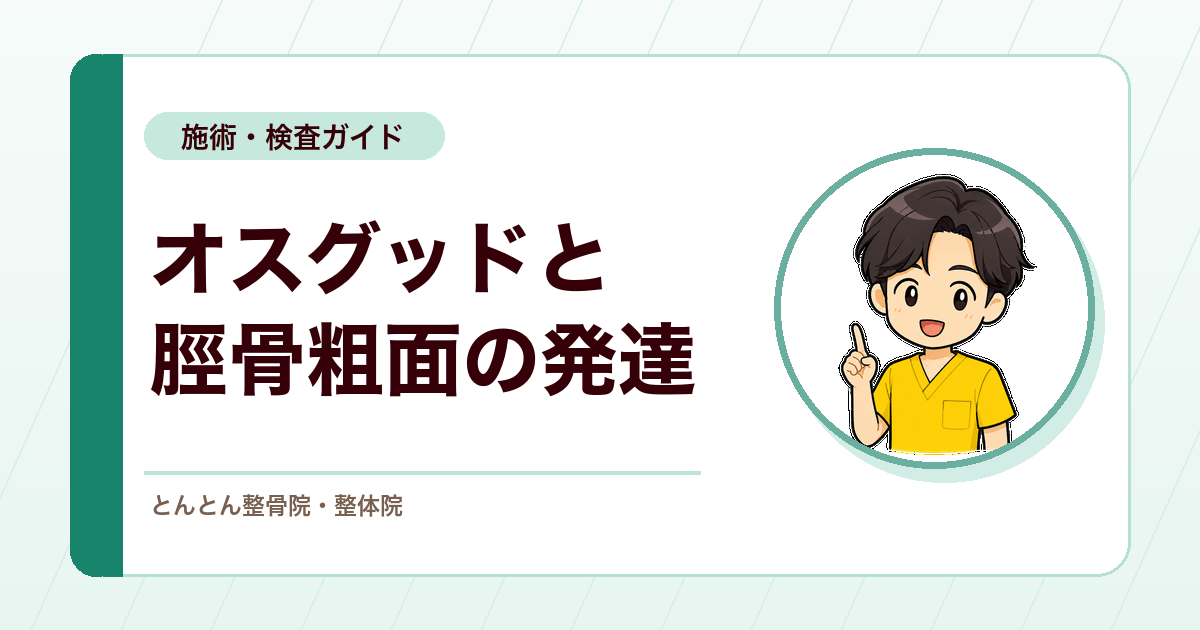 オスグッド・シュラッター病はなぜ成長期に起こるのか。脛骨粗面（けいこつそめん）の発達過程から発症を考える