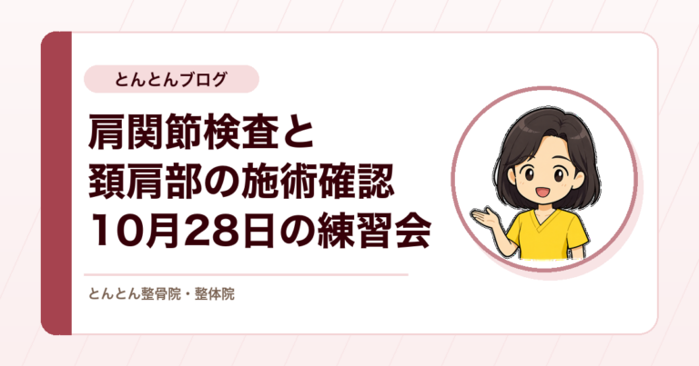 肩関節検査の精度を上げ、頚肩部の施術確認で次の課題へ。受かったチェックを復習した10月28日の練習会を行いました